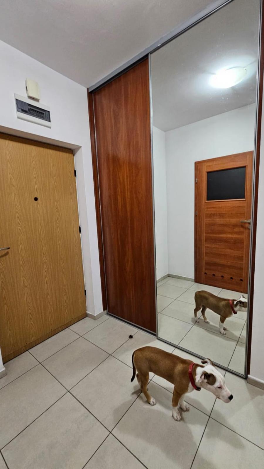 Apartament Lipinskiego Krakow Luaran gambar