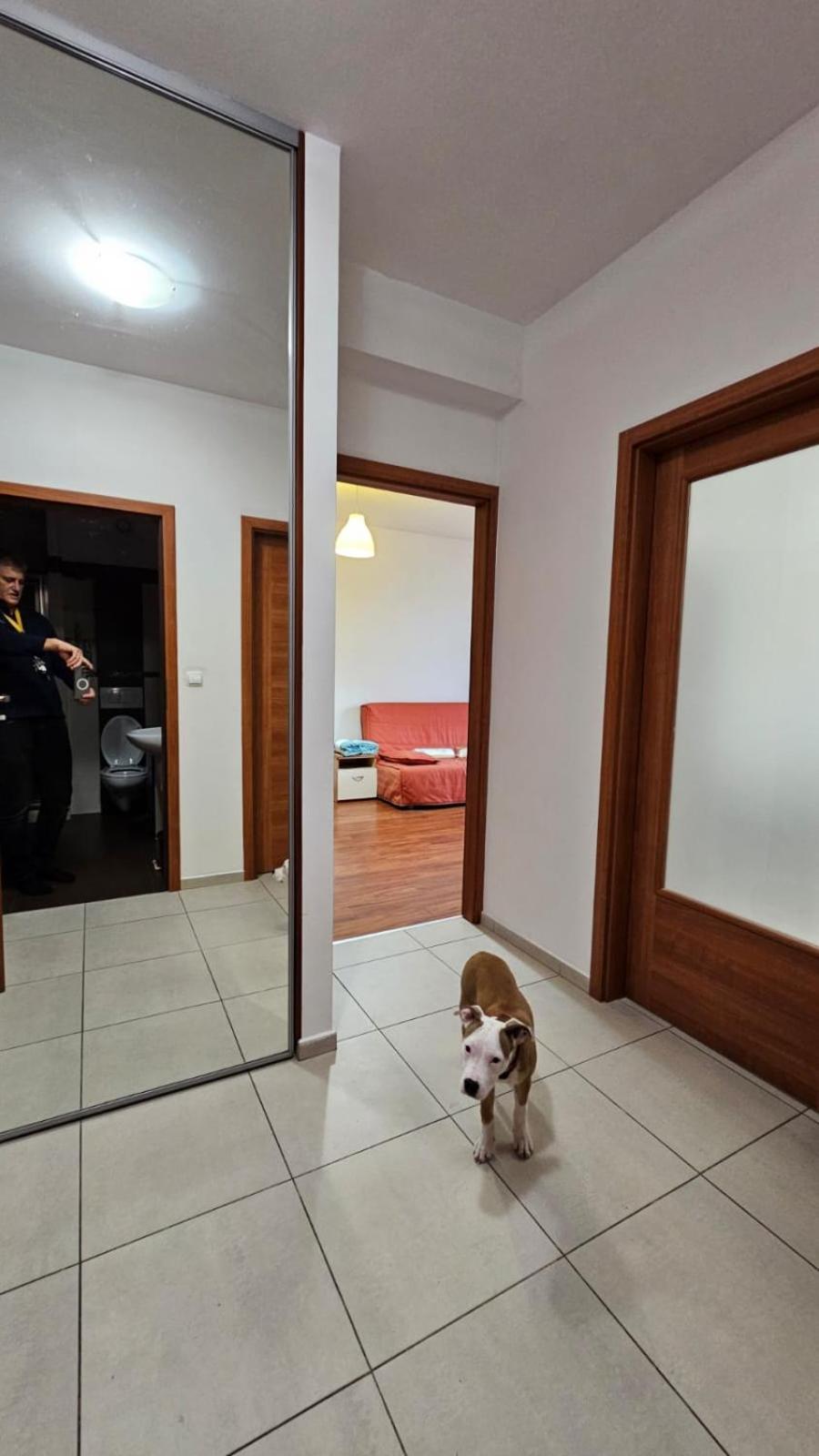 Apartament Lipinskiego Krakow Luaran gambar