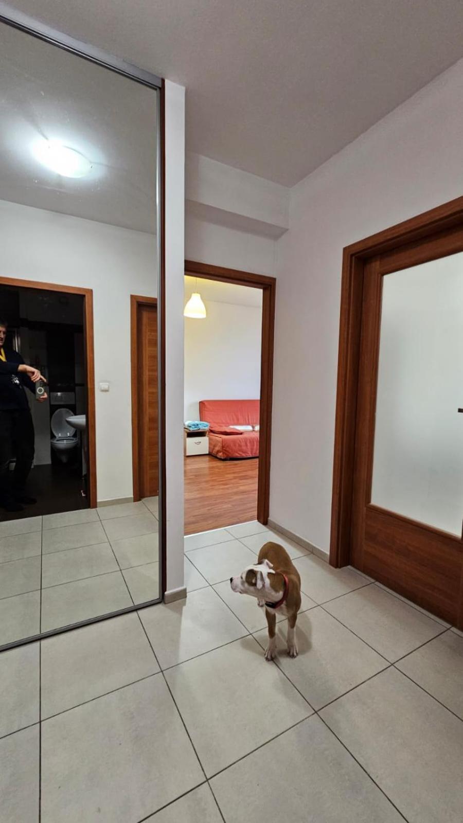 Apartament Lipinskiego Krakow Luaran gambar