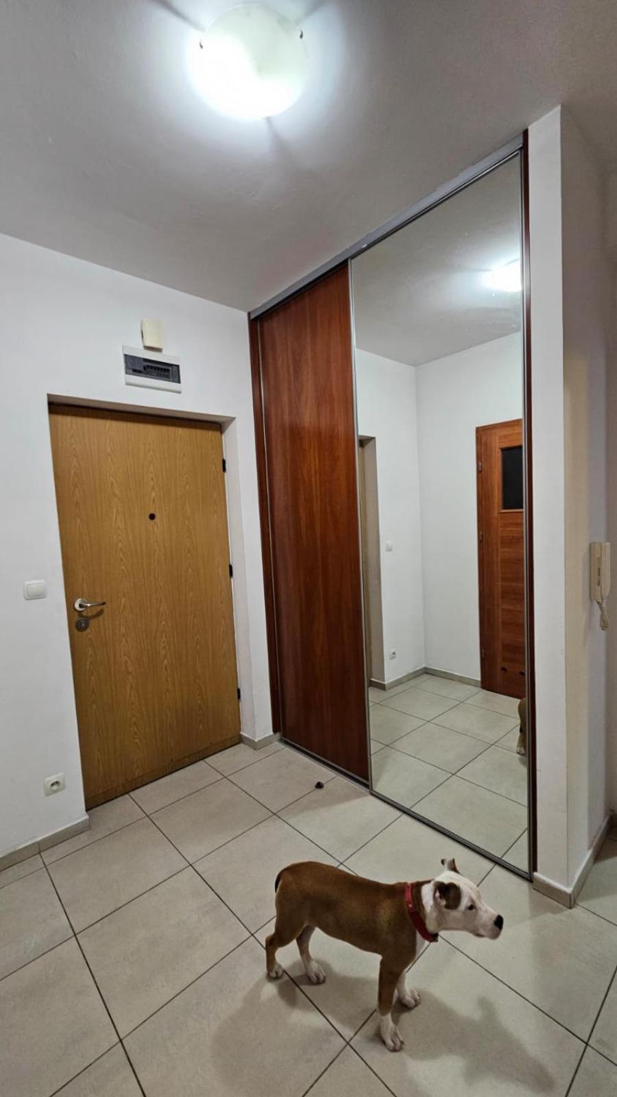 Apartament Lipinskiego Krakow Luaran gambar