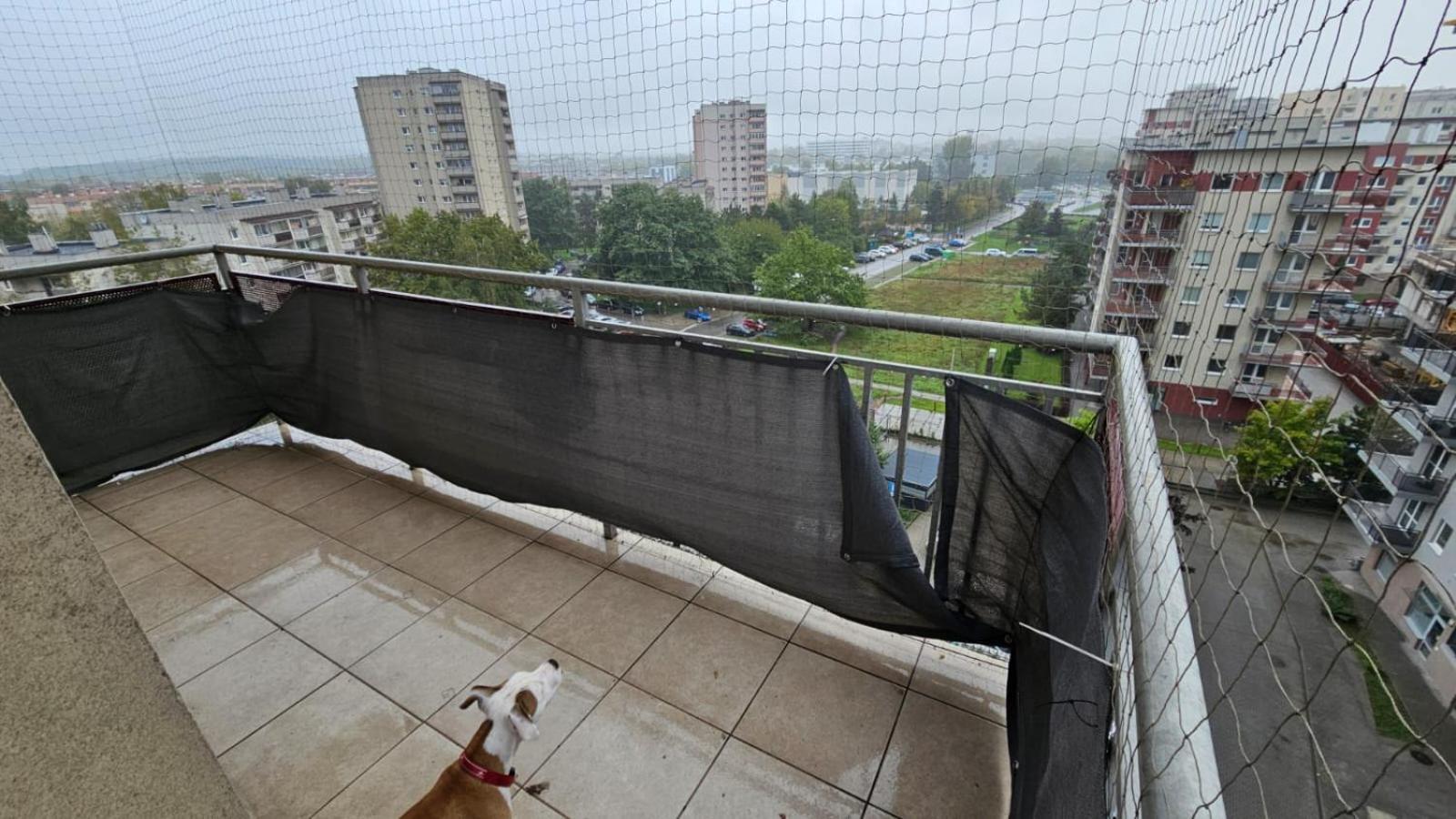 Apartament Lipinskiego Krakow Luaran gambar